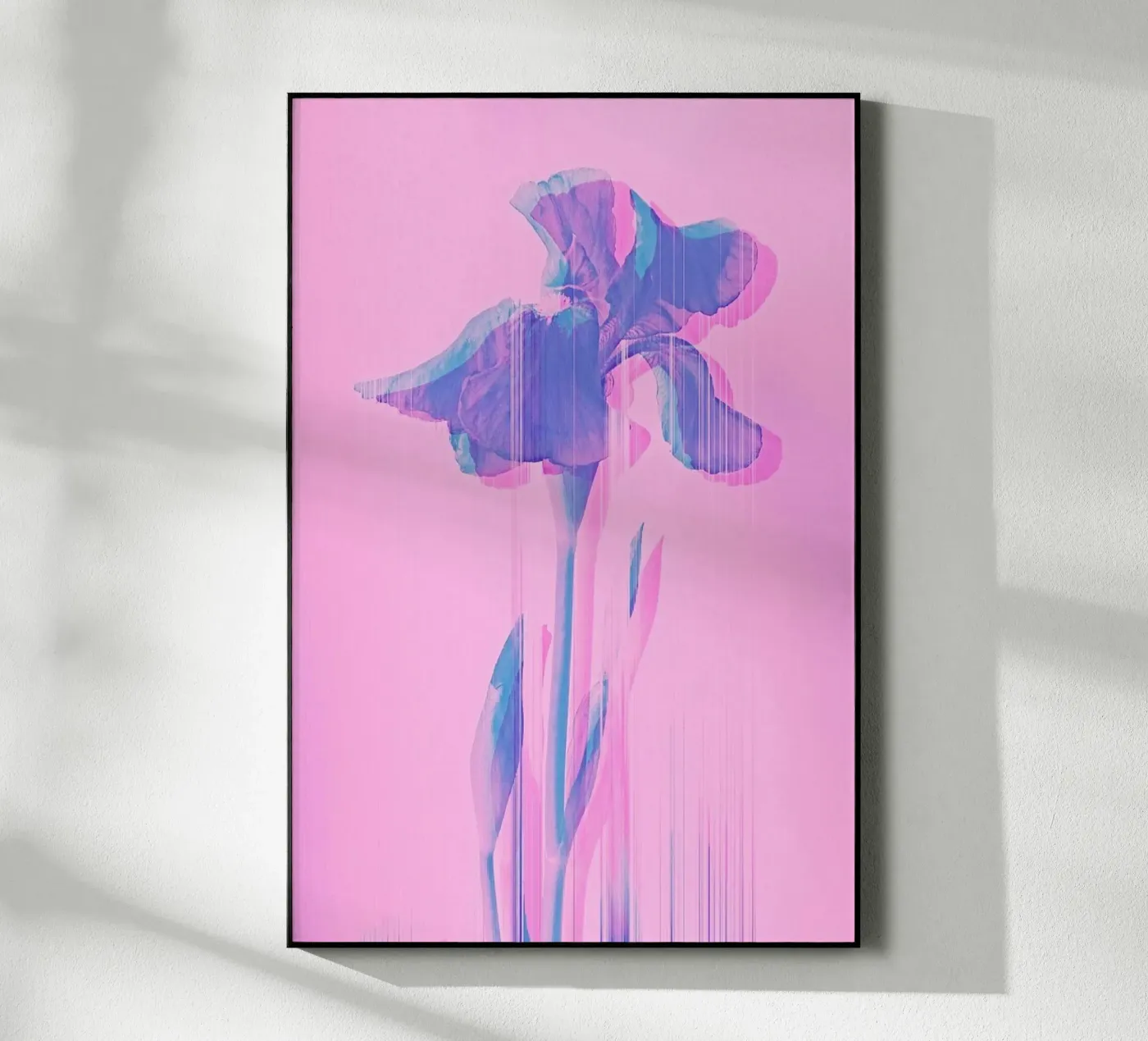 Glitcherd Iris on Pink Acryl-Glas von cafelab
