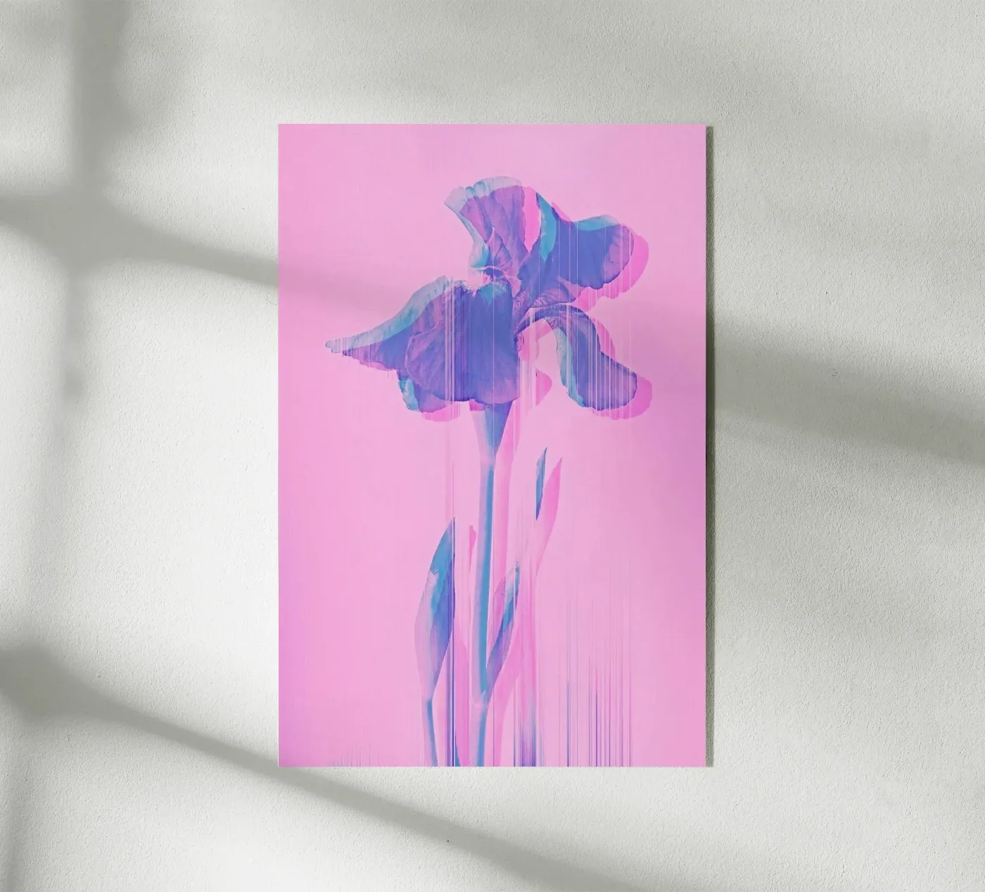 Glitcherd Iris on Pink plexiglass da cafelab