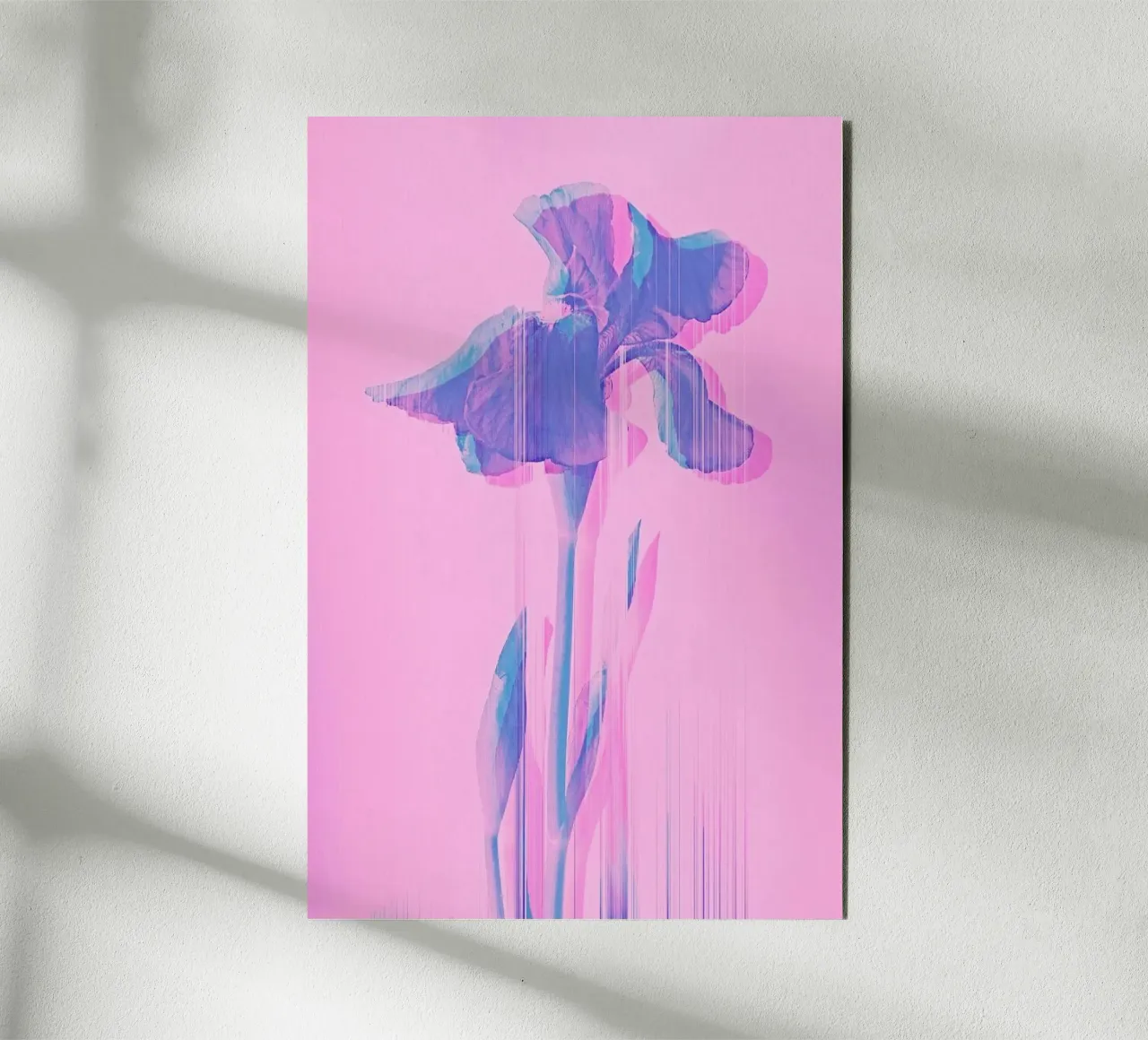 Glitcherd Iris on Pink alluminio dibond da cafelab