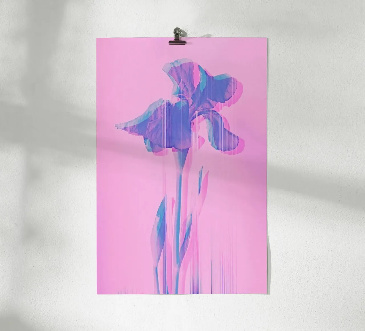 Glitcherd Iris on Pink carta hahnemühle da cafelab