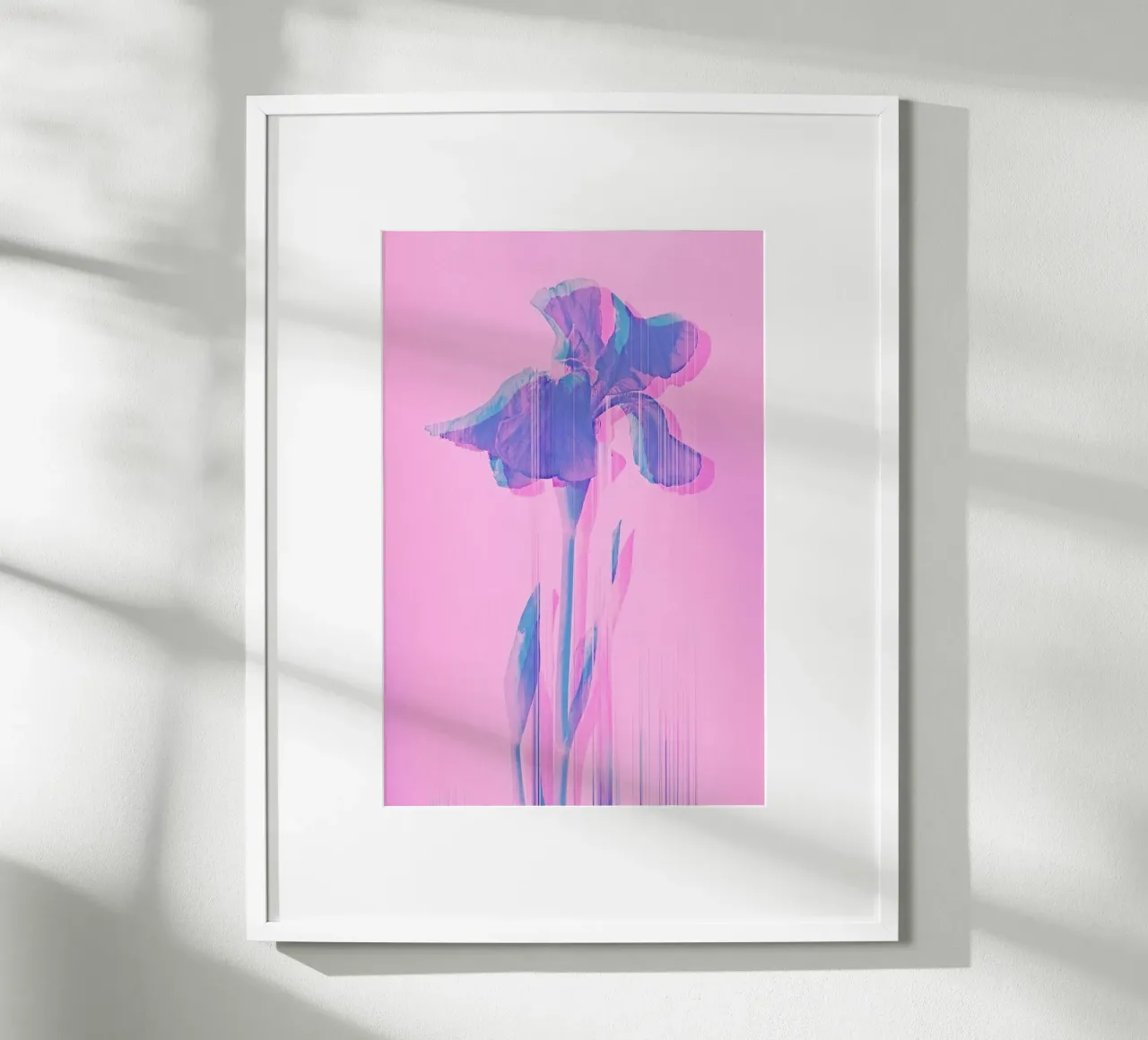Glitcherd Iris on Pink carta hahnemühle da cafelab