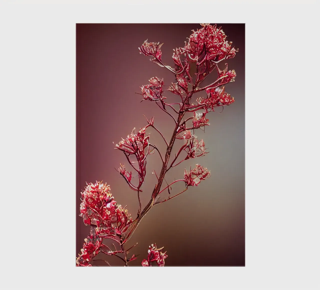 Macro Queen Crape Myrtle Flower notebook by Bold Blooms