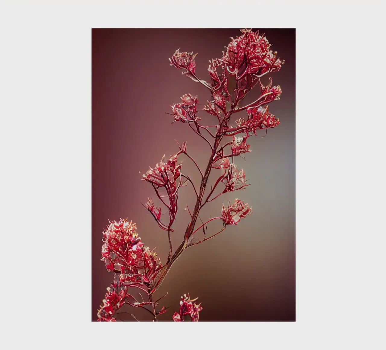 Macro Queen Crape Myrtle Flower notebook by Bold Blooms