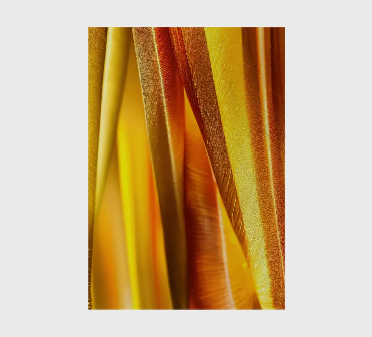 Macro Rohira Flower notebook by Bold Blooms