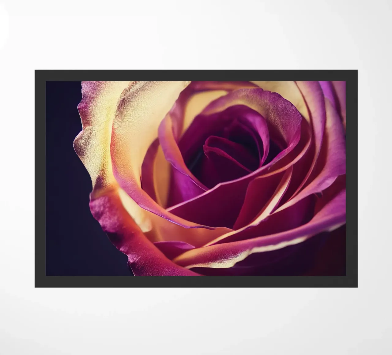 Macro fiore di rosa zerbino da Bold Blooms