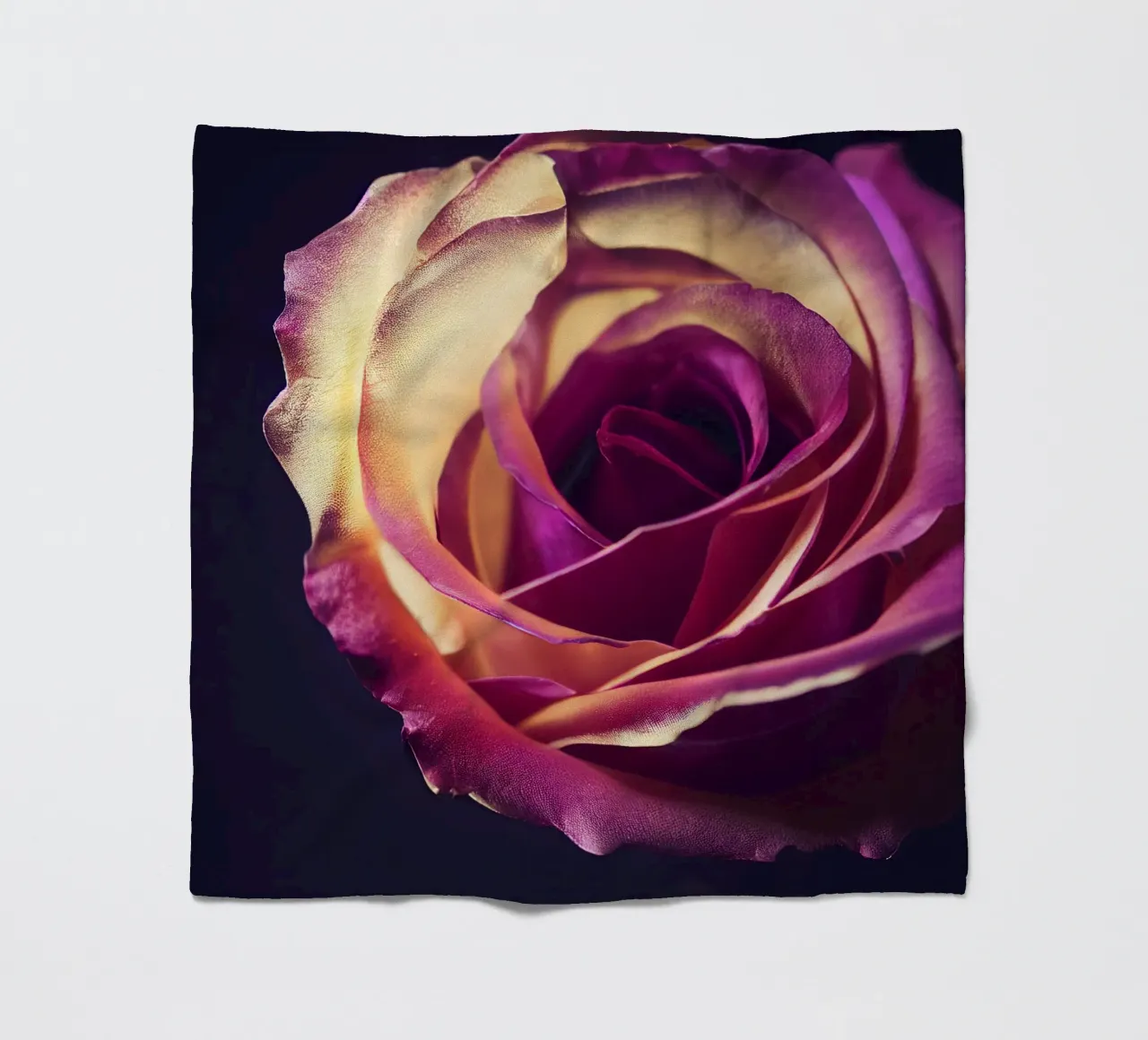 Macro fiore di rosa coperta in pile da Bold Blooms