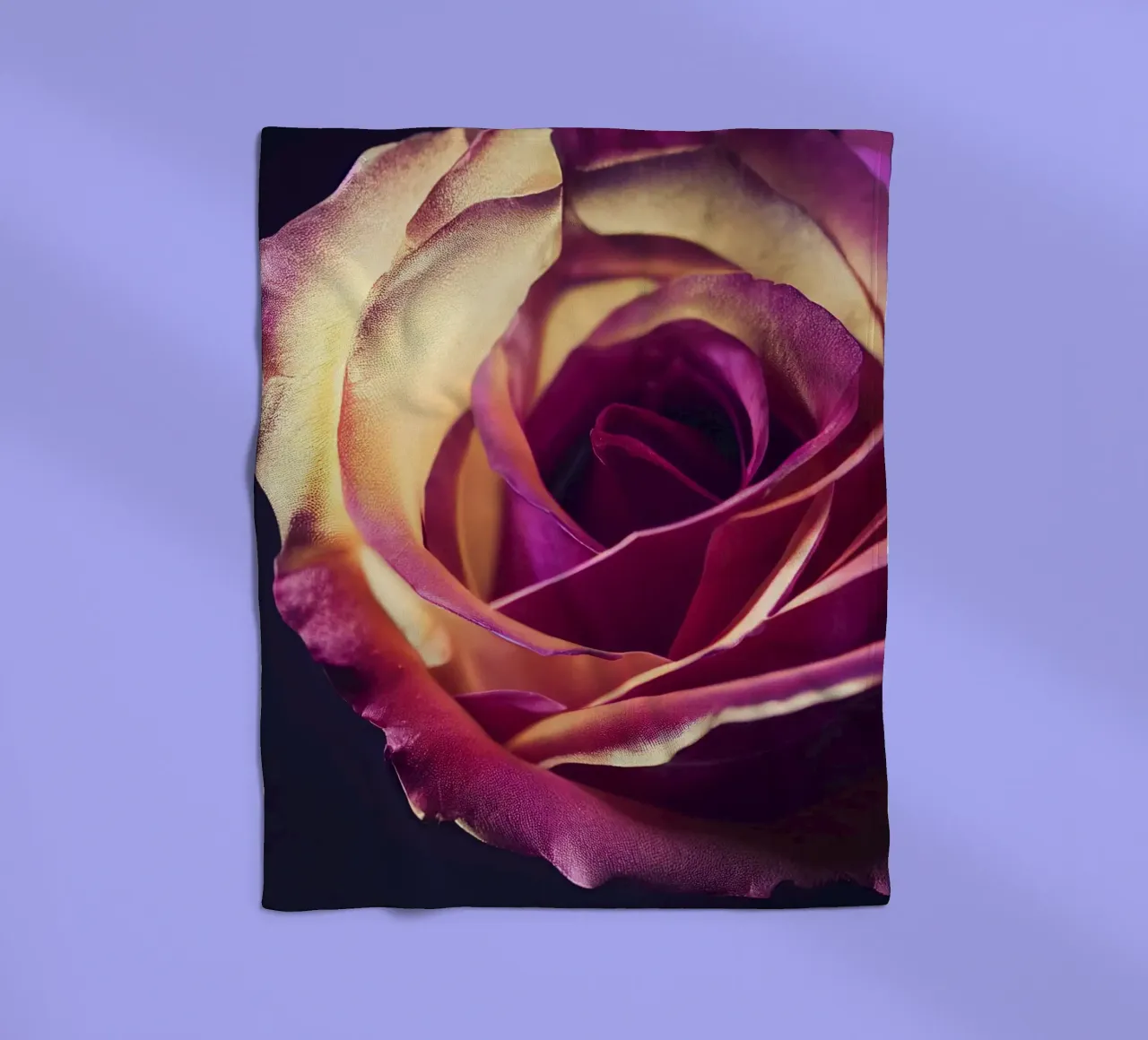 Macro fiore di rosa coperta in pile da Bold Blooms