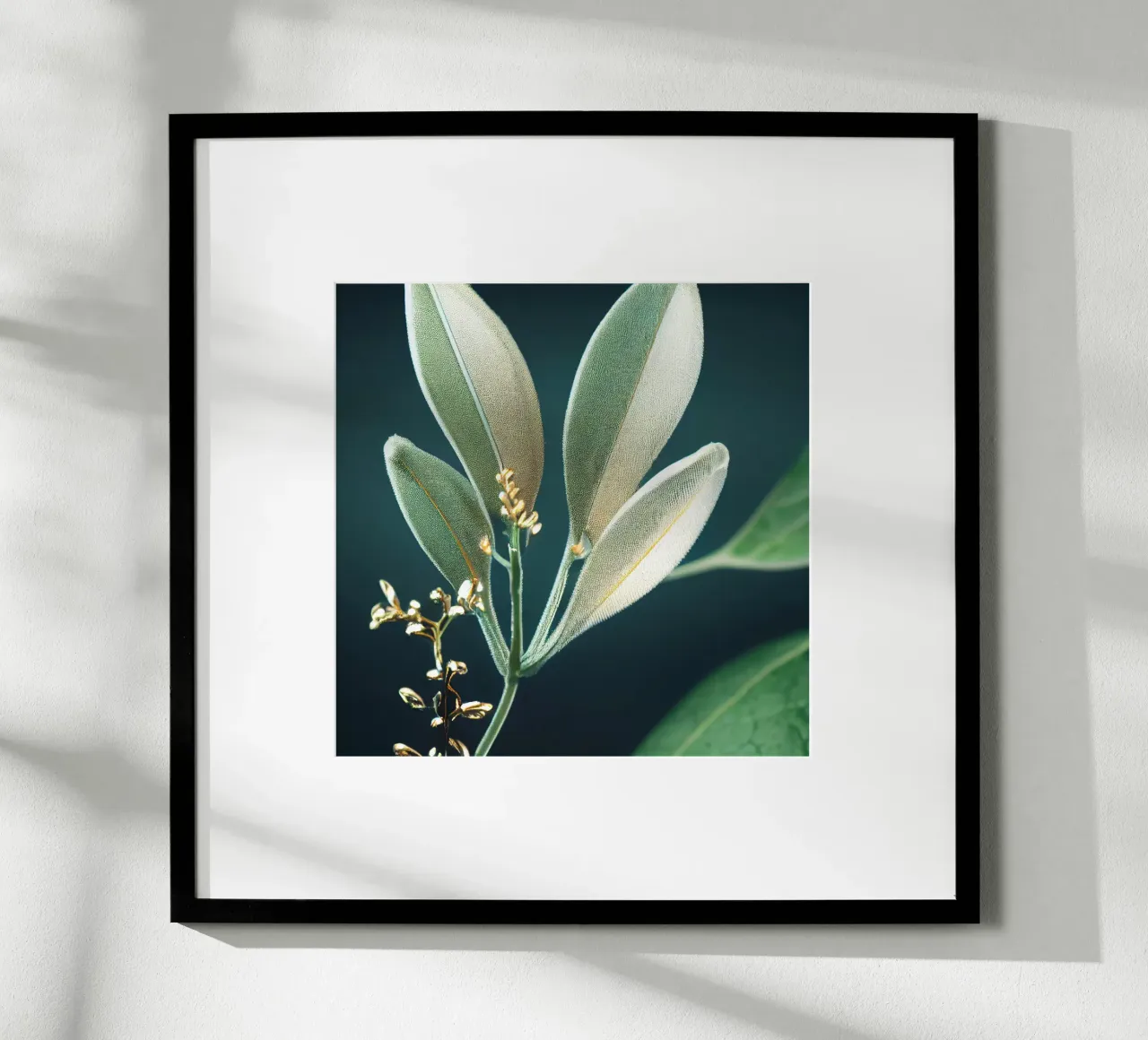 Macro fiore di Shameplant poster da Bold Blooms