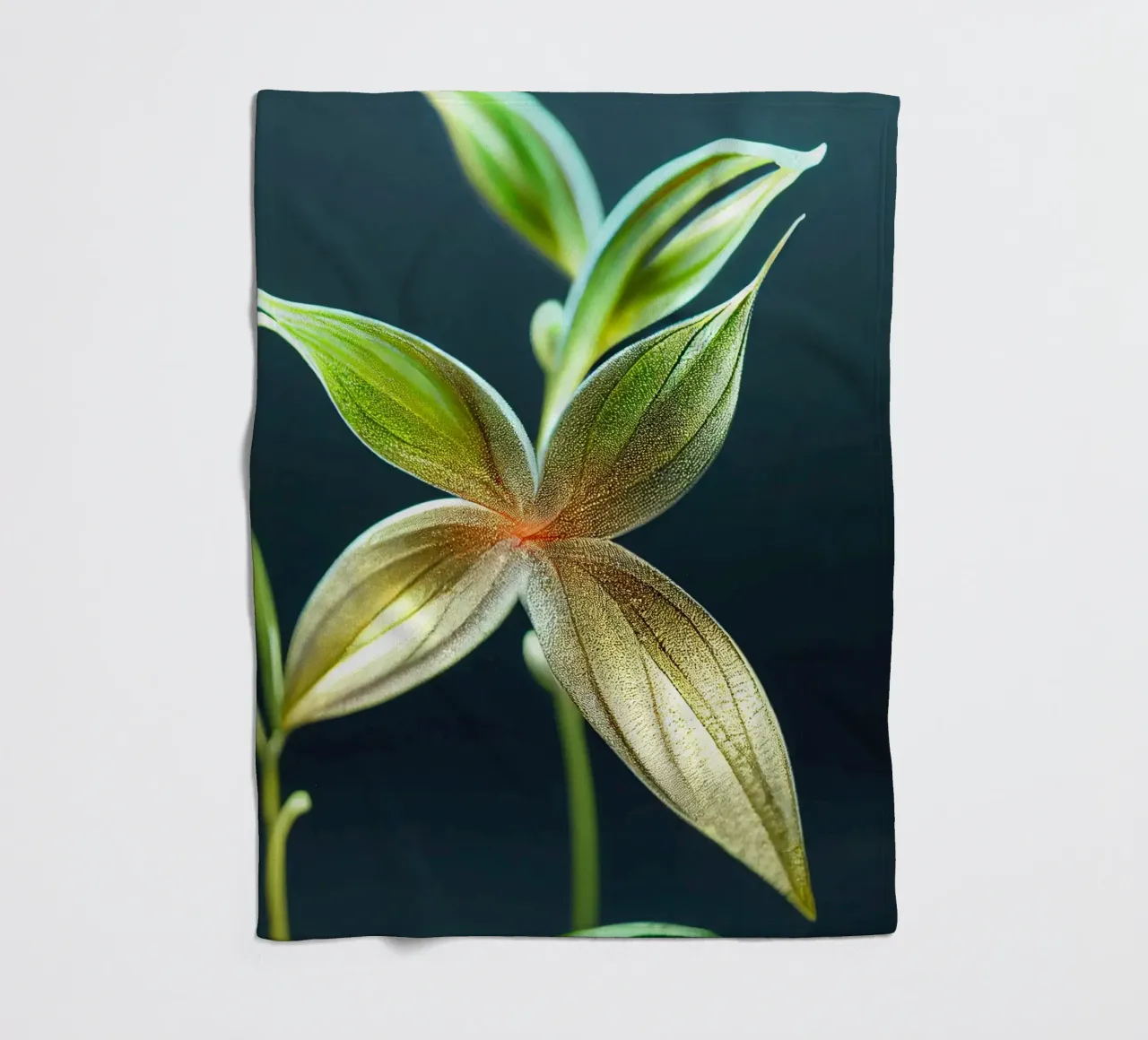 Macro fiore di Shameplant coperta in pile da Bold Blooms