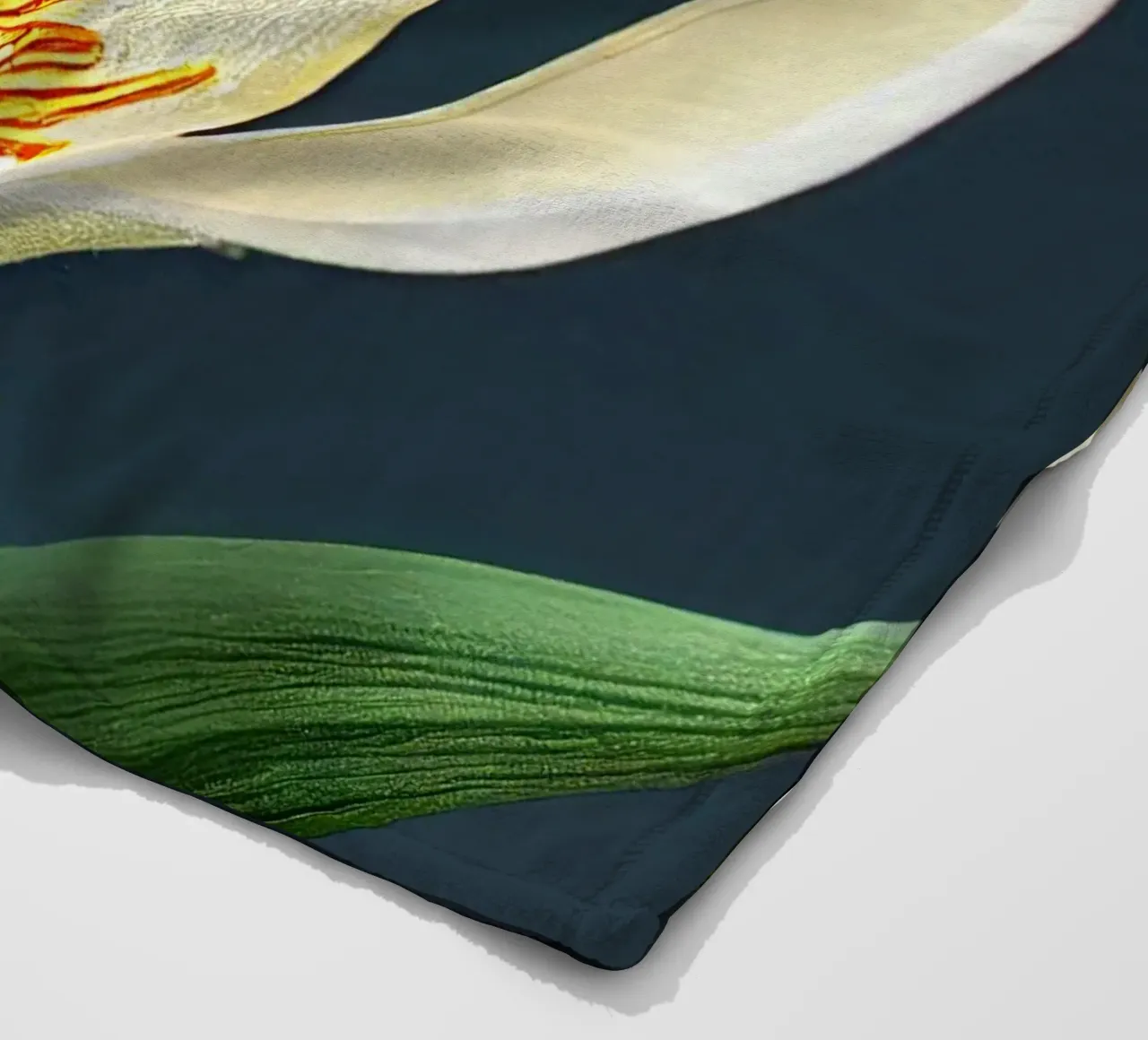 Macro Siroi Lily Flower coperta in pile da Bold Blooms