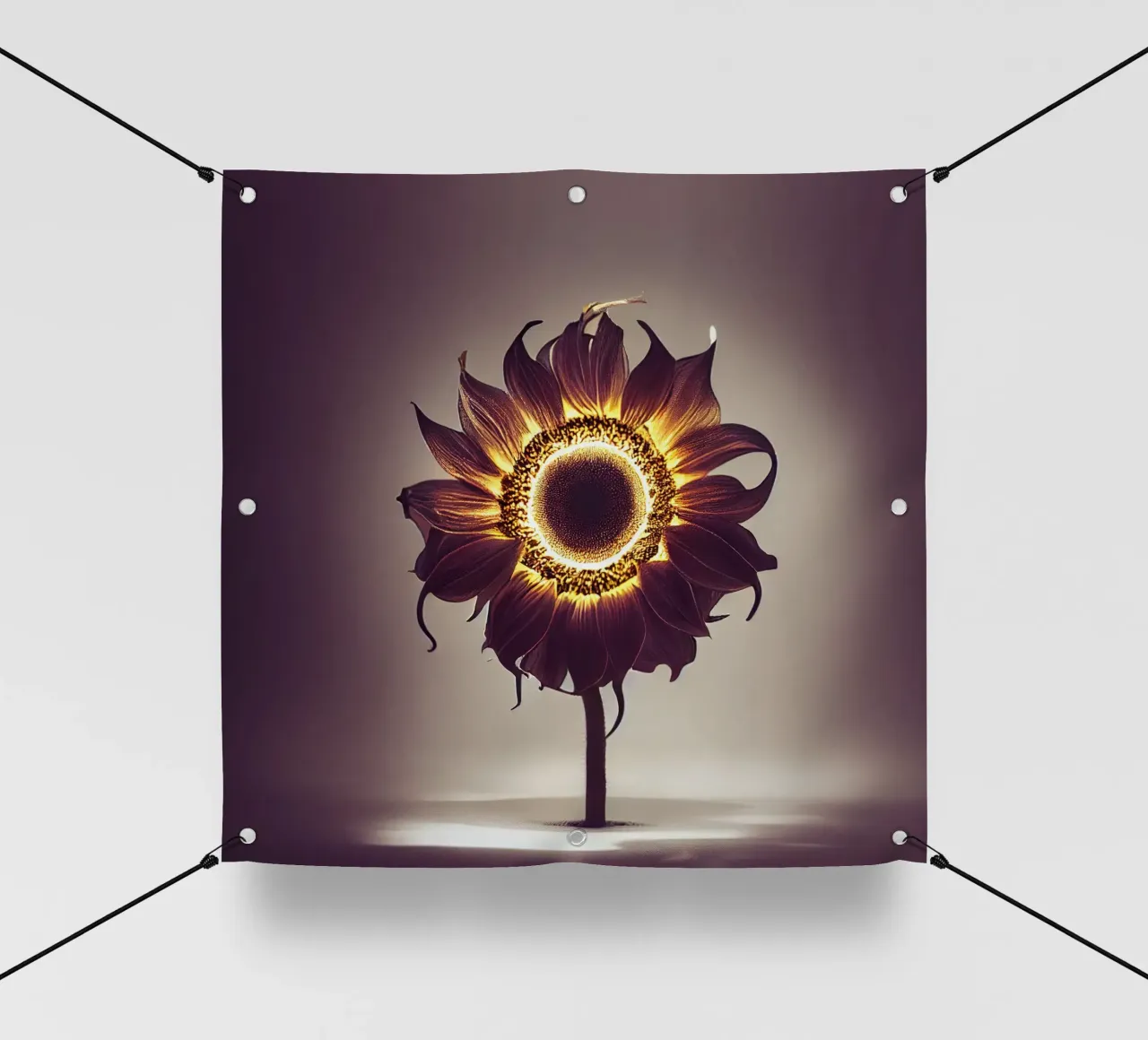 Macro Girasol lonas publicitarias de Bold Blooms