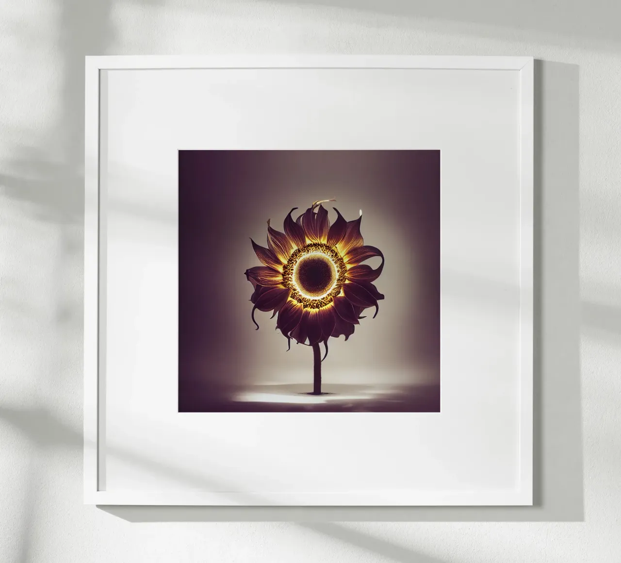 Girasole macro carta hahnemühle da Bold Blooms