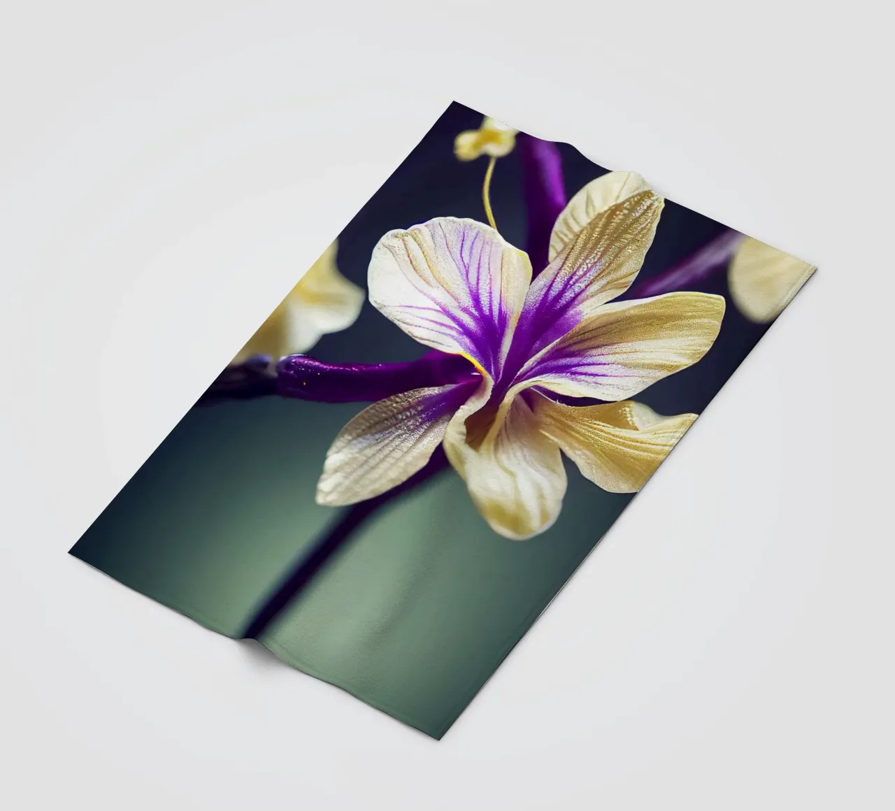 Macro Fiore di violetta coperta in pile da Bold Blooms