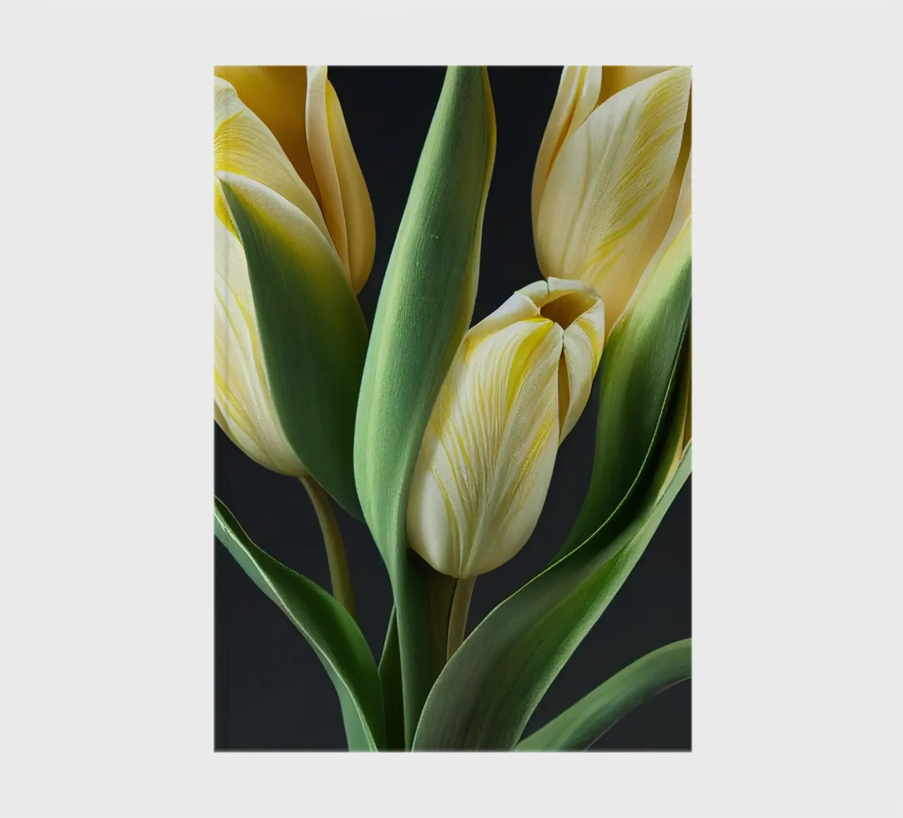 Macro Tulip Flower notebook by Bold Blooms