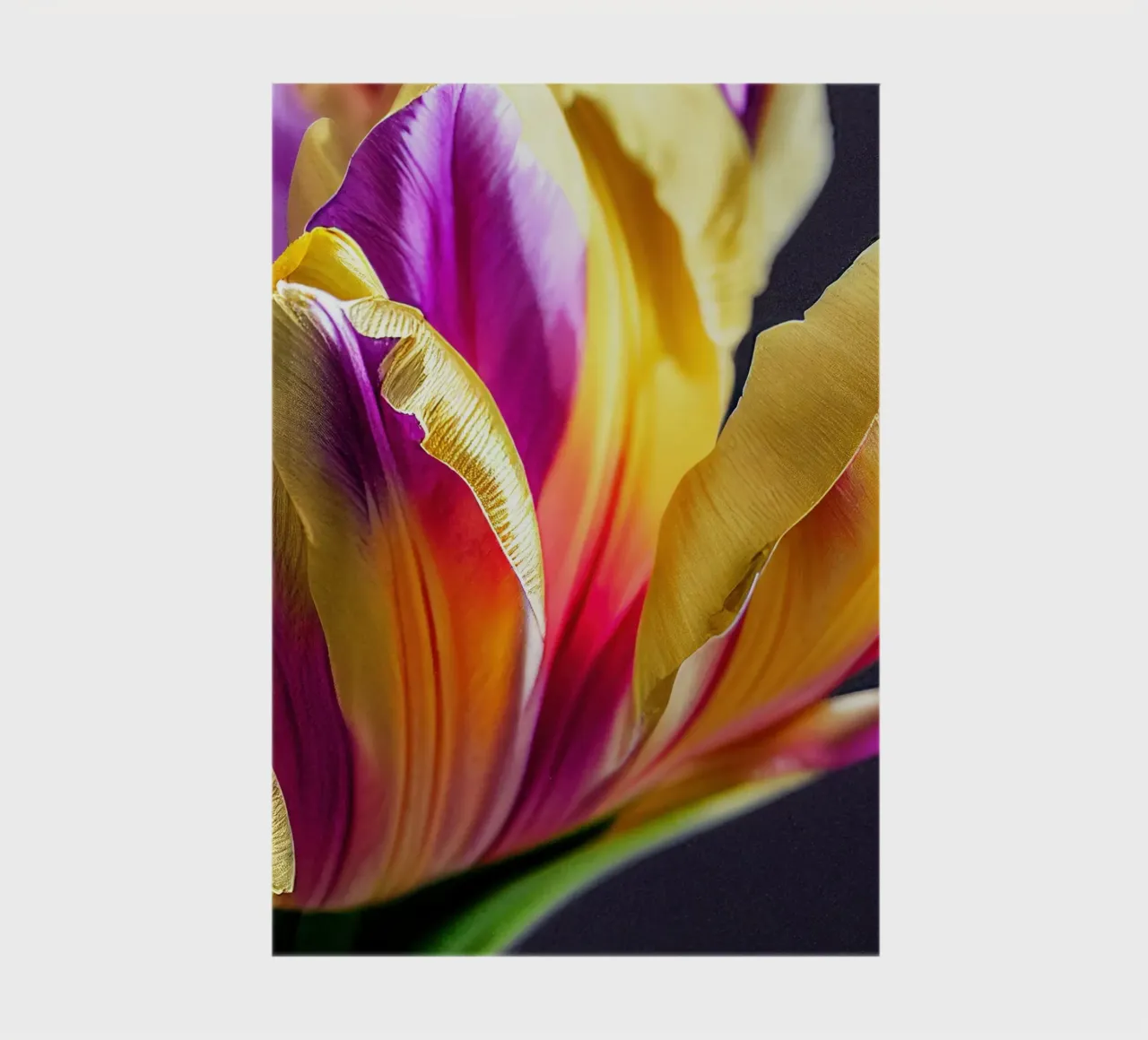 Macro Tulip Flower notebook by Bold Blooms