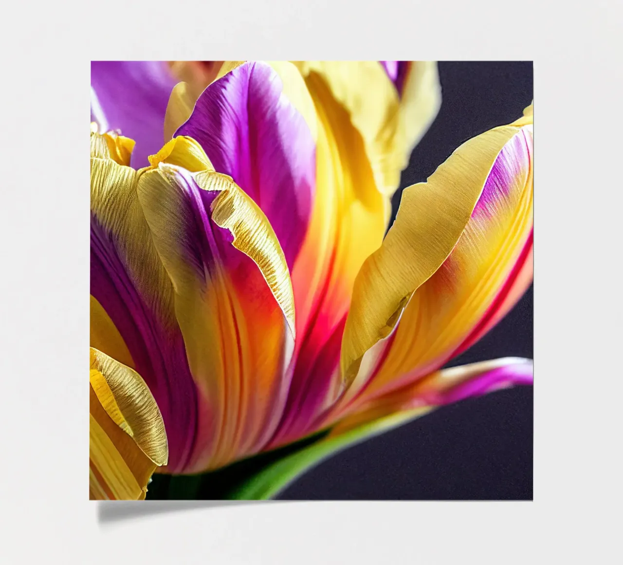 Macro fiore di tulipano foglio adesivo da Bold Blooms