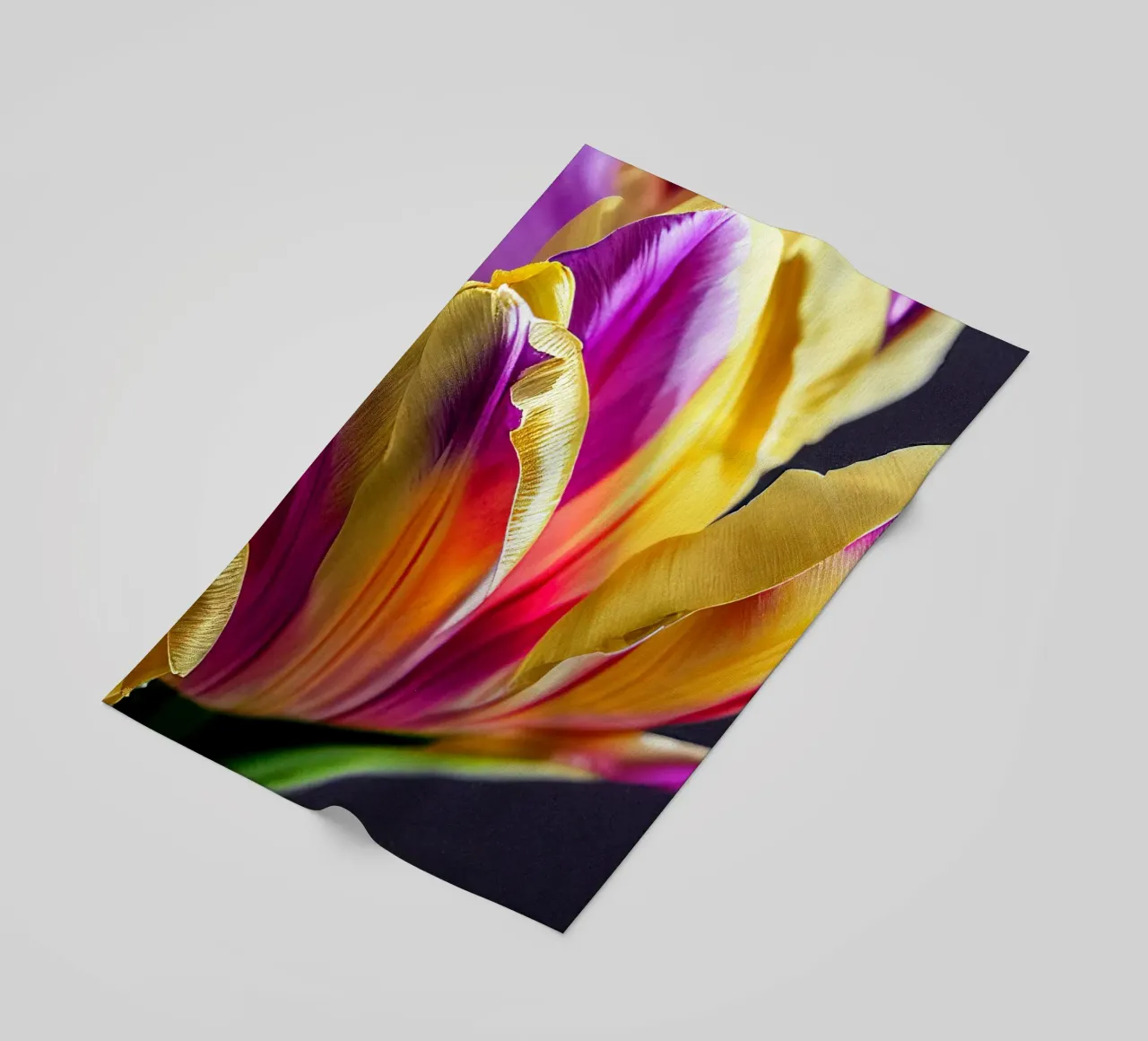 Macro fiore di tulipano telo mare da Bold Blooms