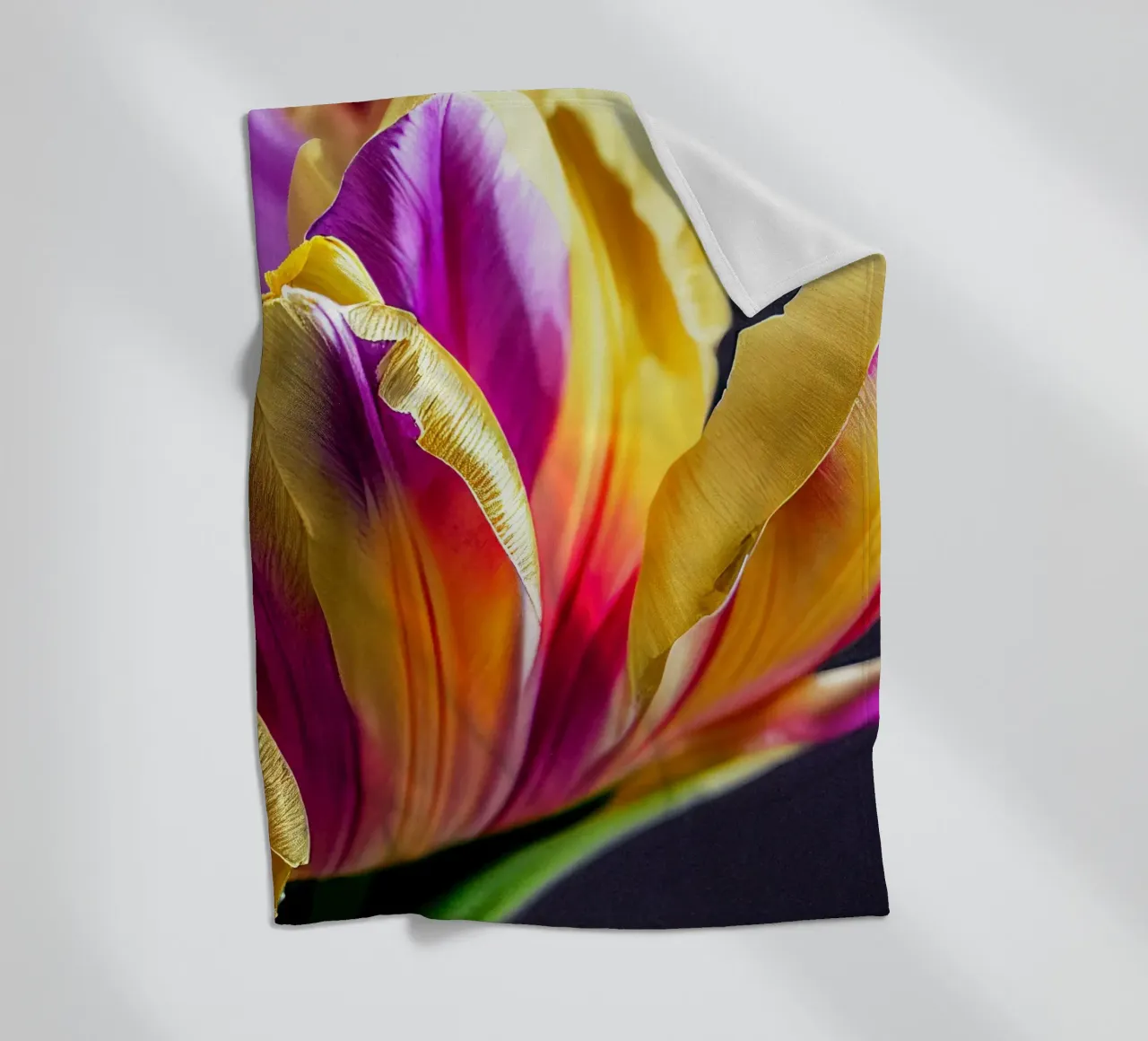 Macro fiore di tulipano coperta in pile da Bold Blooms