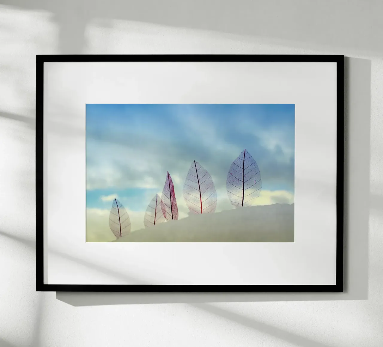 Untitled - Miki Meir Levi poster da Pictufy