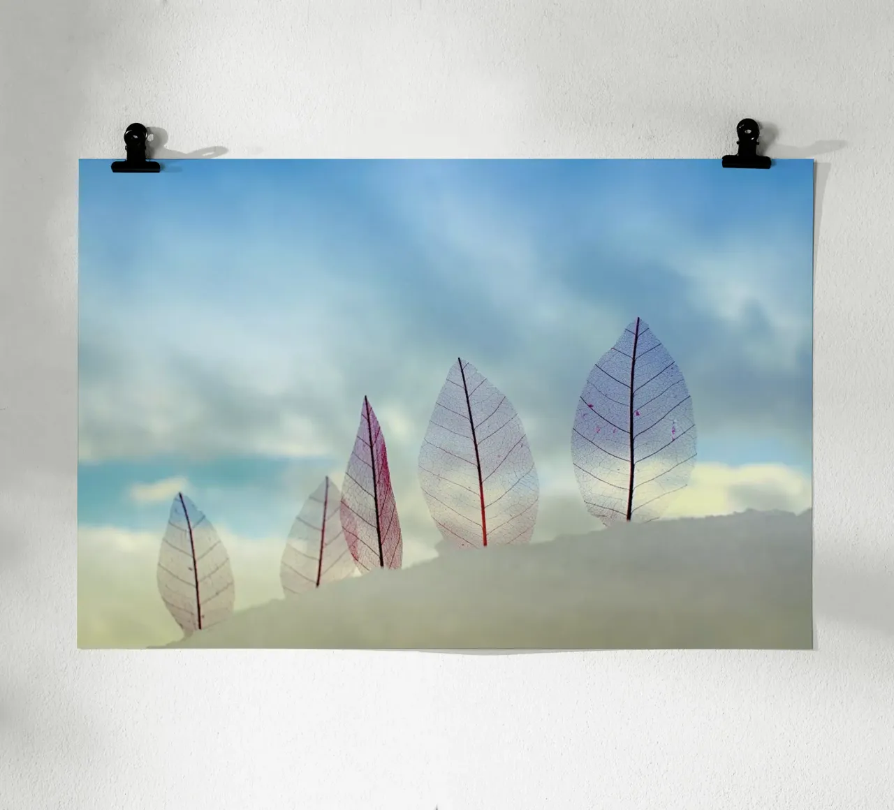 Untitled - Miki Meir Levi poster da Pictufy