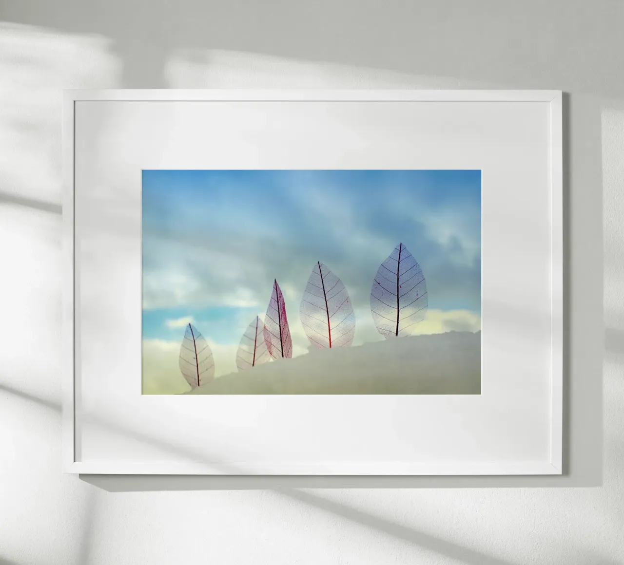 Untitled - Miki Meir Levi poster da Pictufy