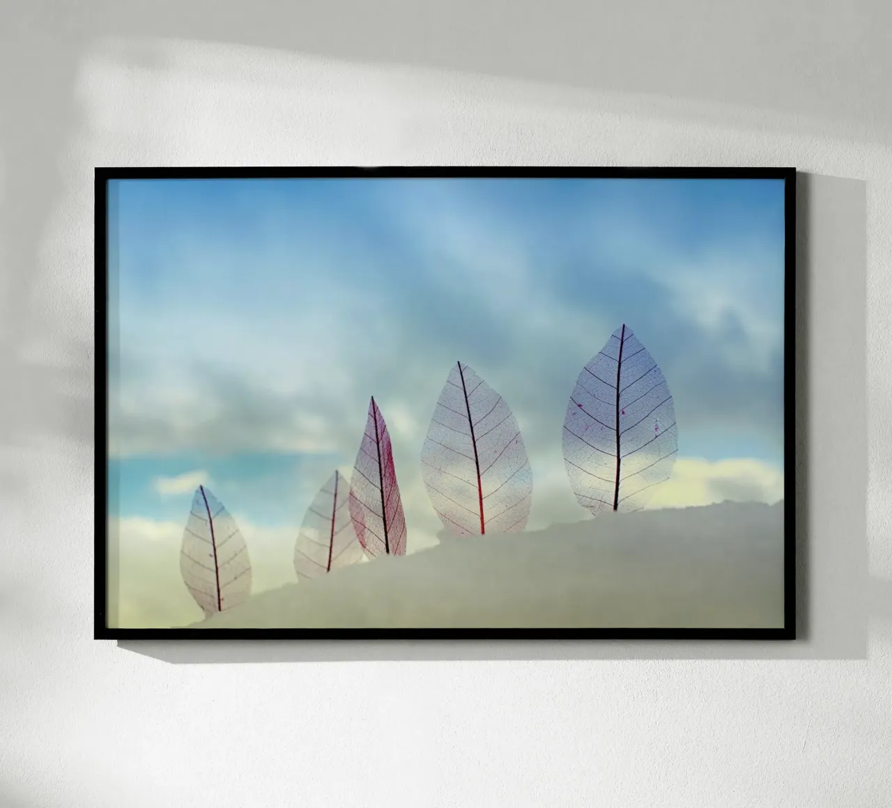 Untitled - Miki Meir Levi poster da Pictufy