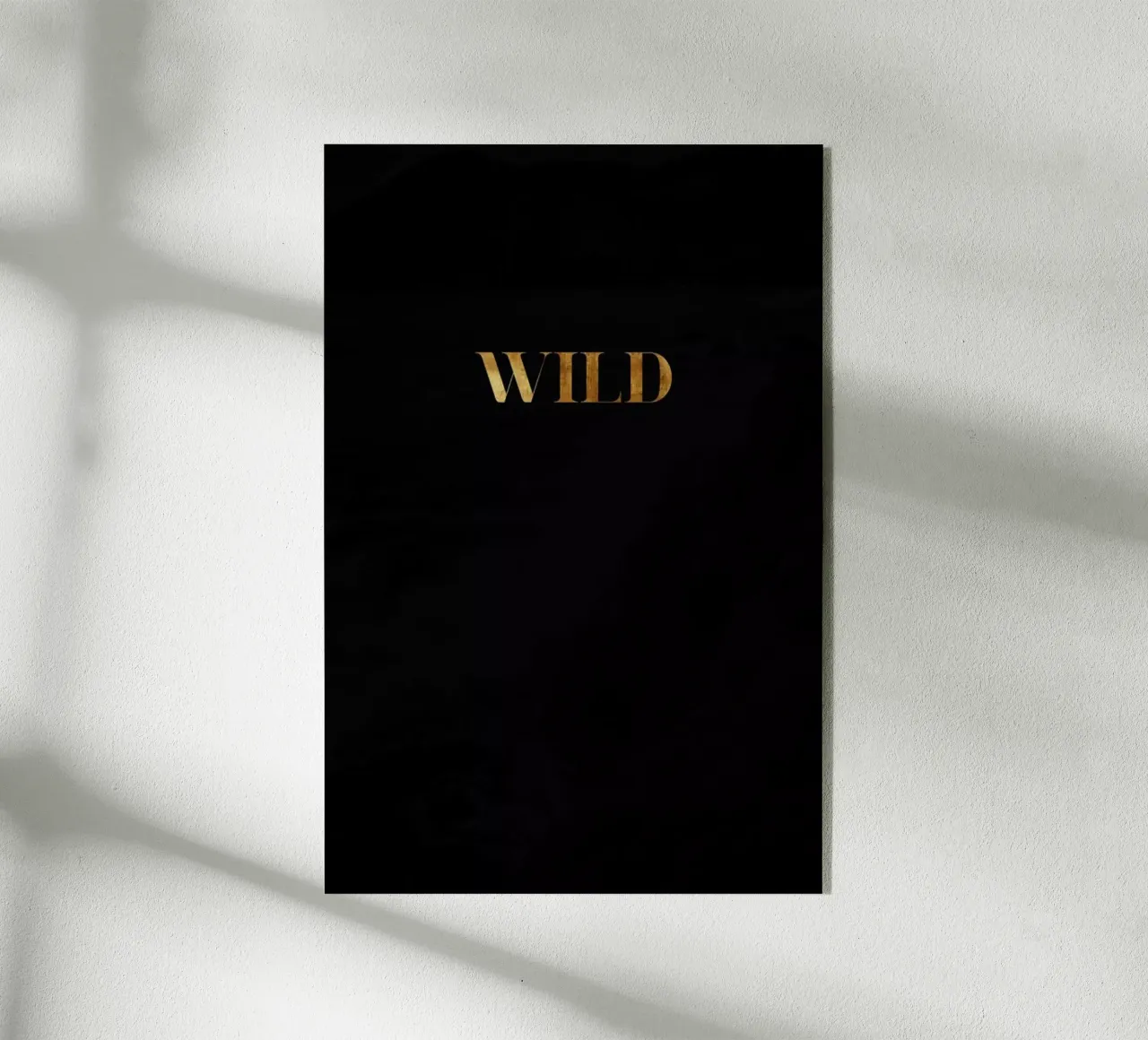 Wild plexiglass da Froilein Juno