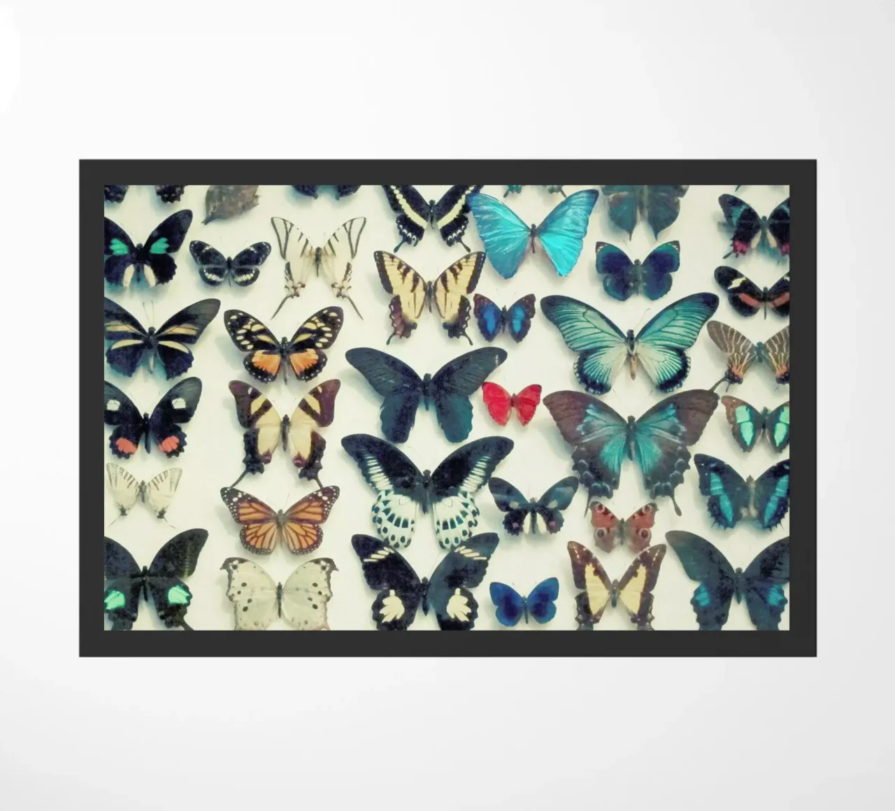 Wings doormat by Cassia Beck Photography