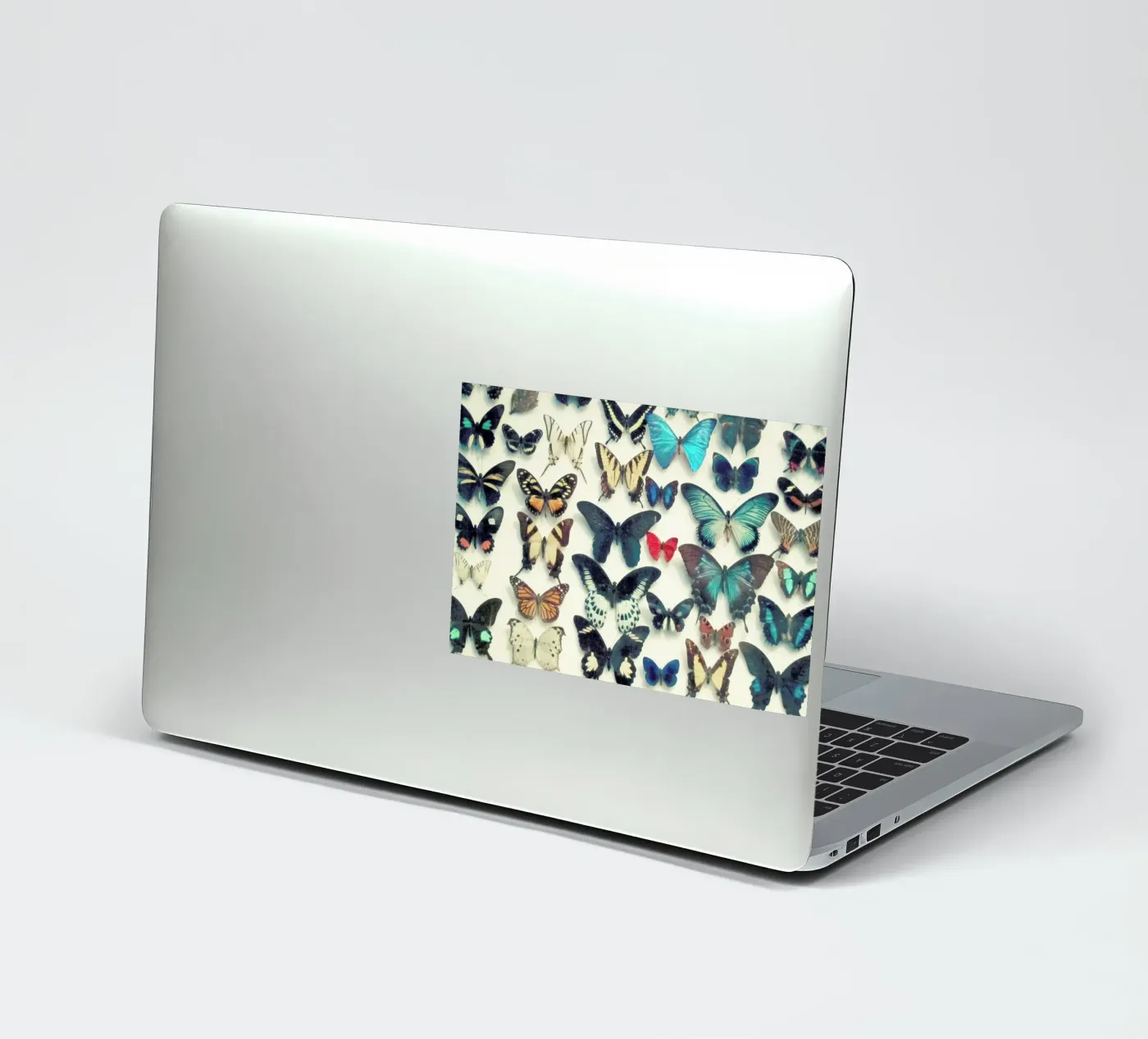 Wings sticker by Cassia Beck Photography