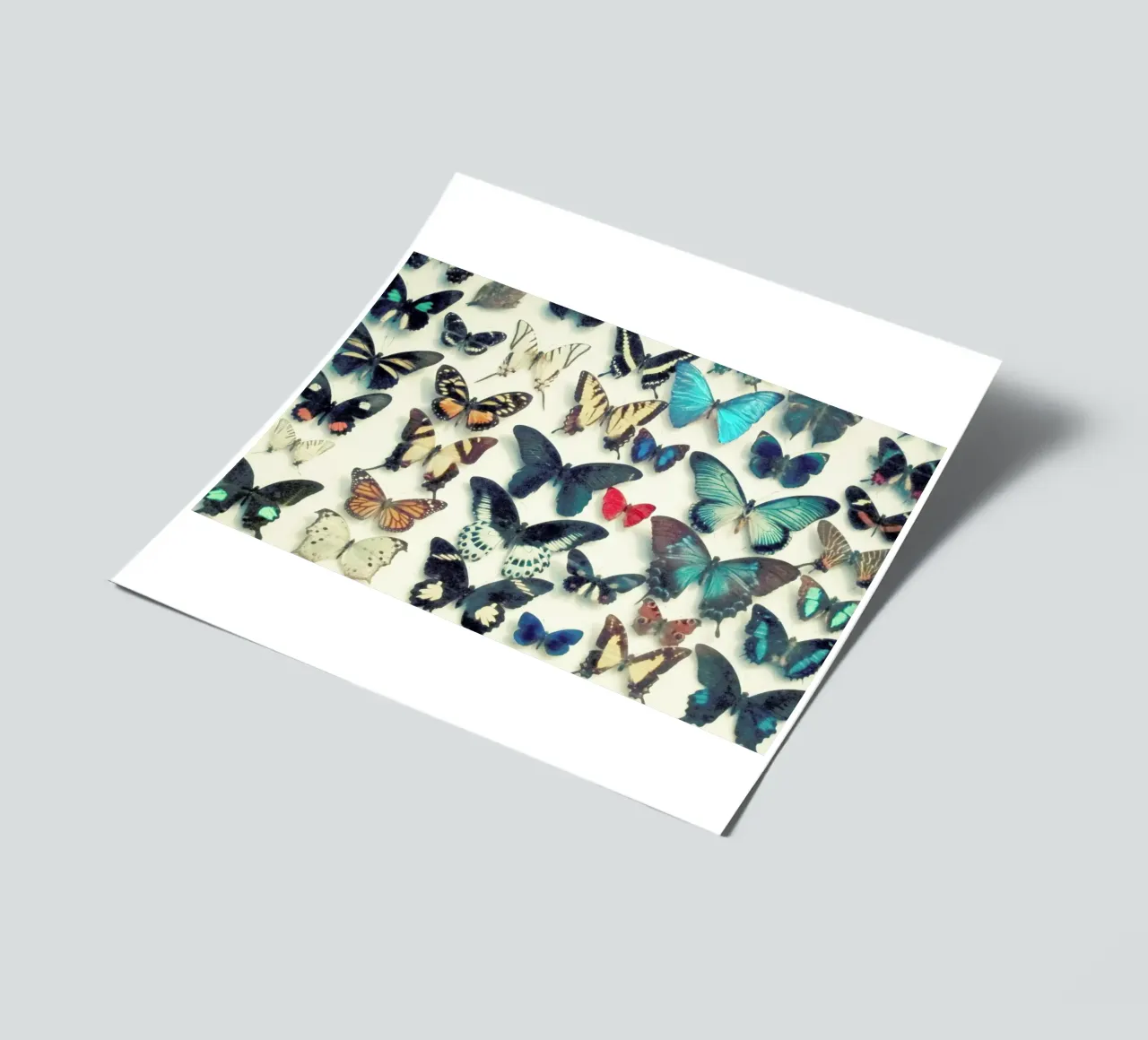 Wings sticker sheet by Cassia Beck Photography