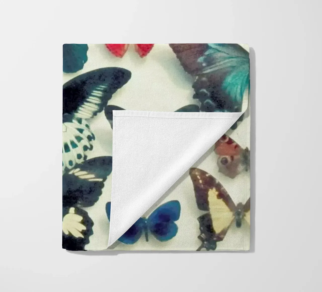 Ali telo mare da Cassia Beck Photography