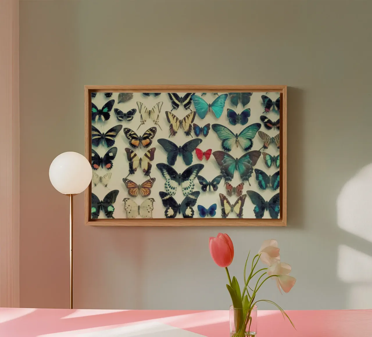 Ali tela da Cassia Beck Photography