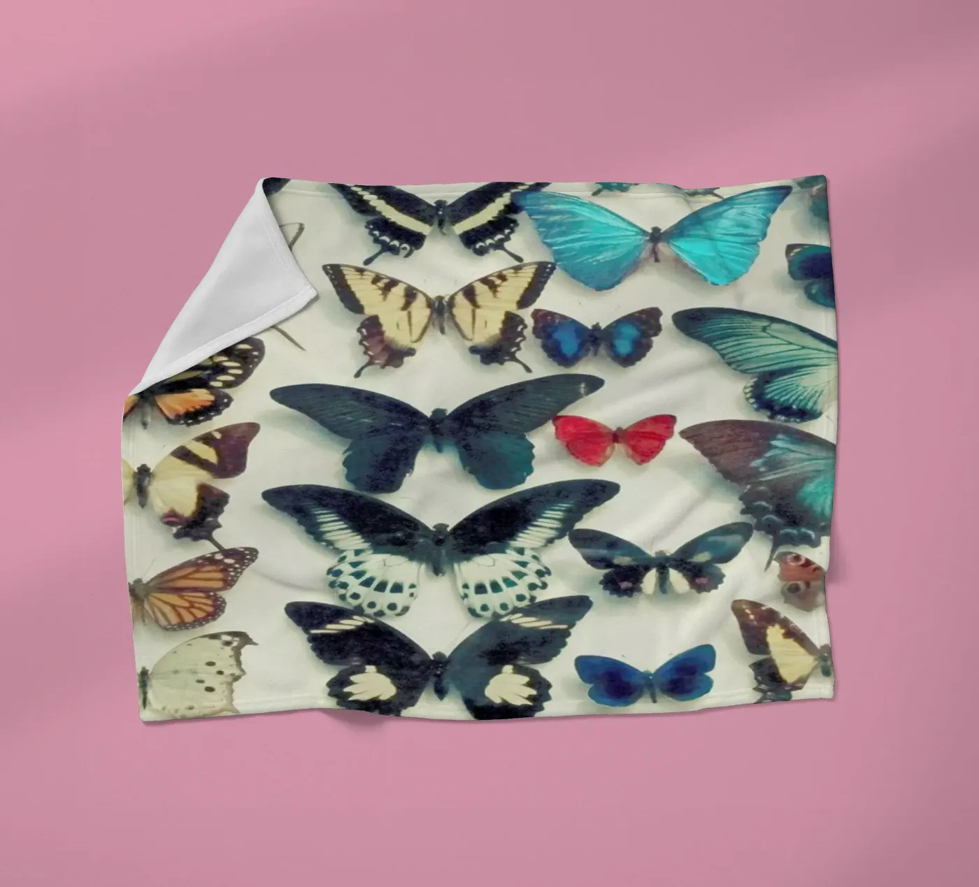 Ali coperta in pile da Cassia Beck Photography