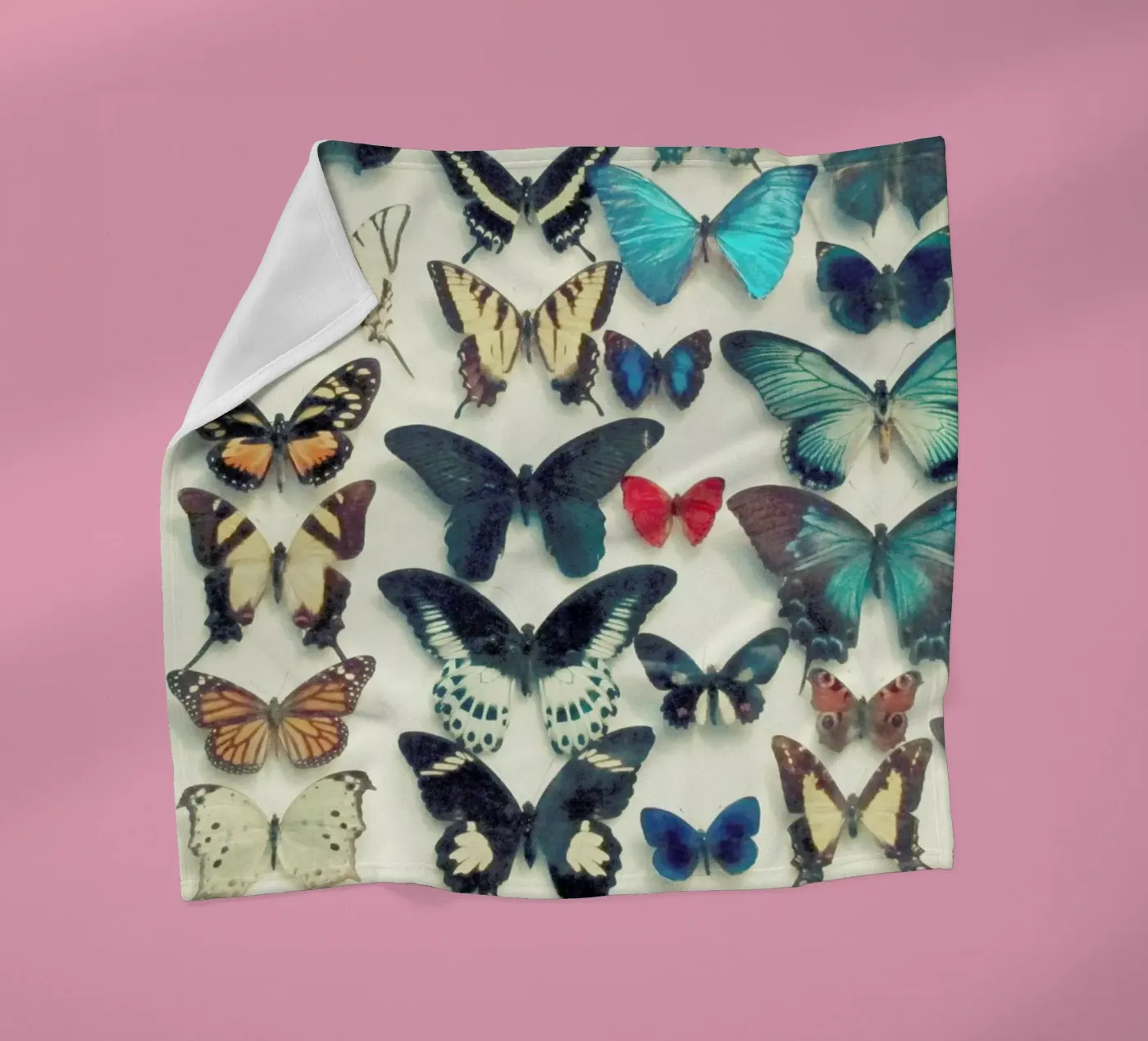 Ali coperta in pile da Cassia Beck Photography