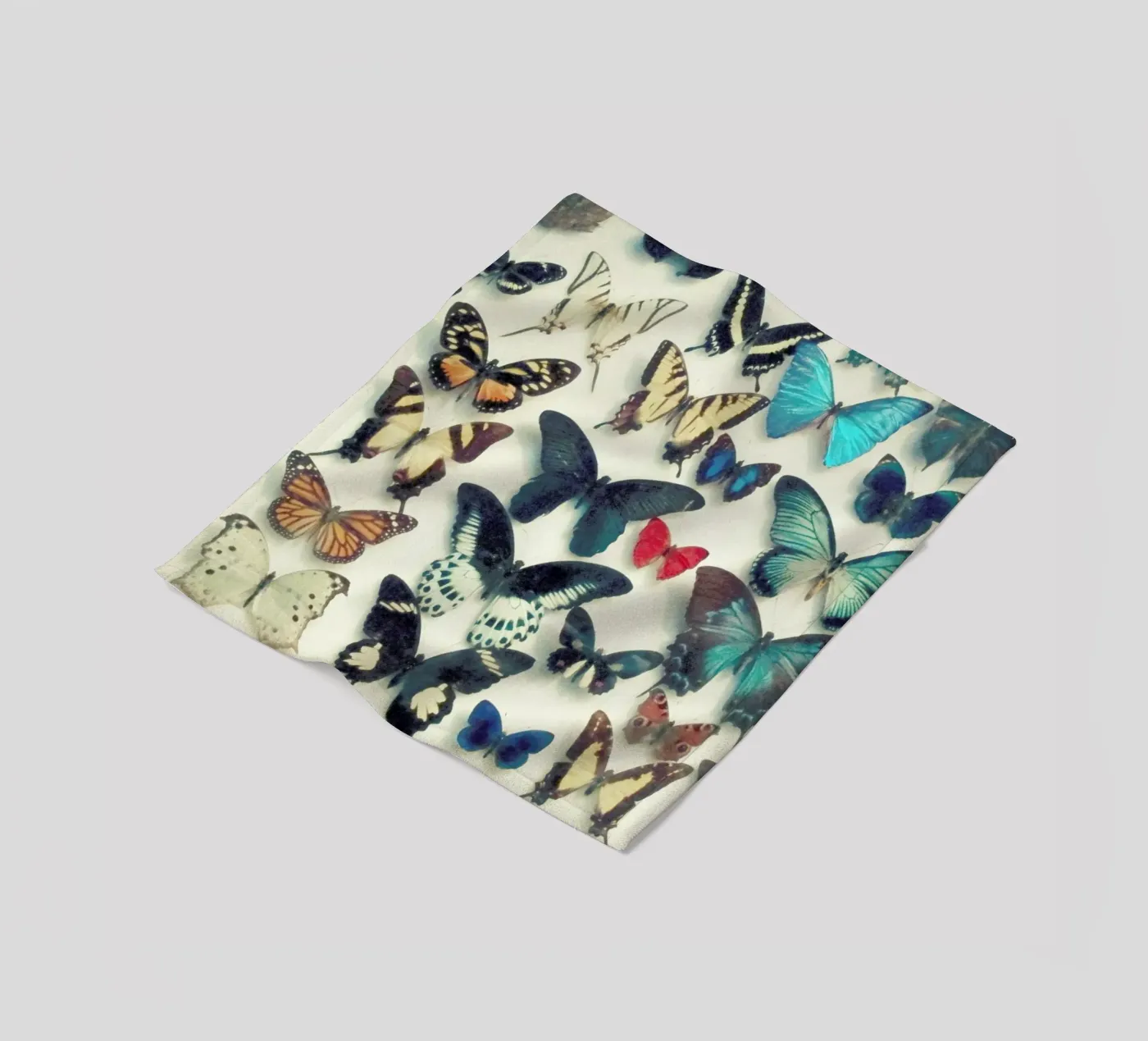 Ali coperta in pile da Cassia Beck Photography