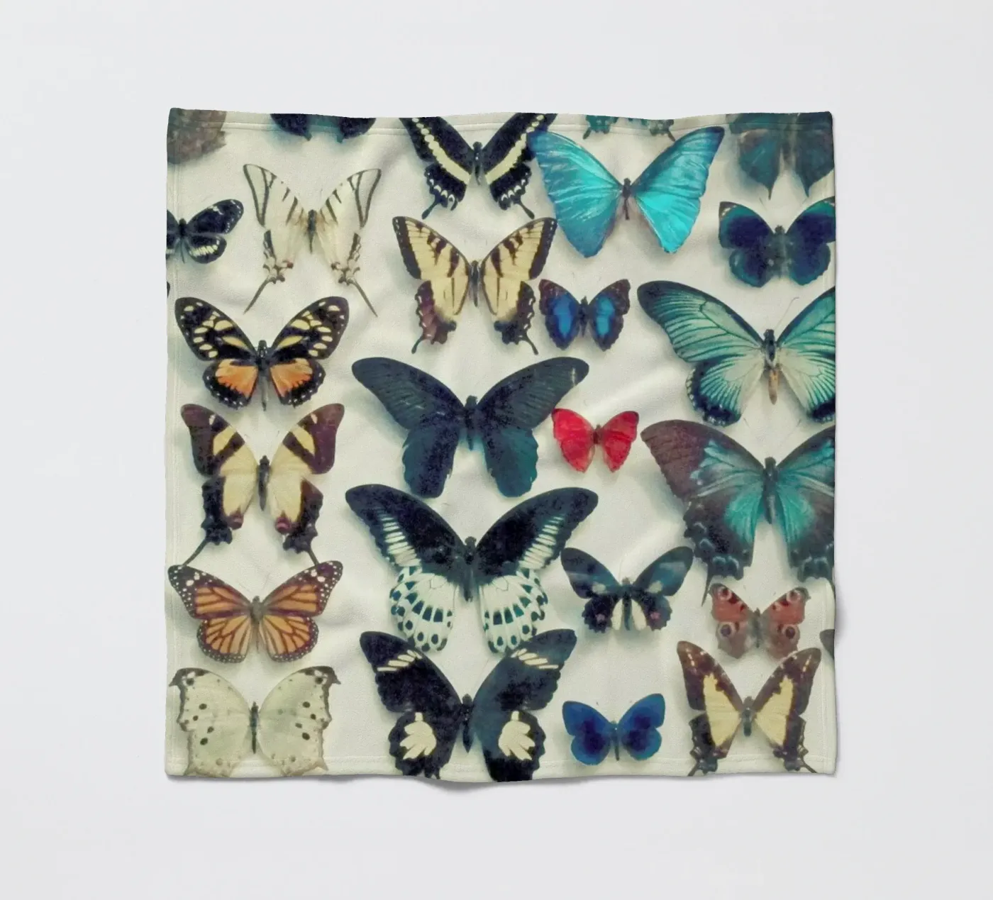 Ali coperta in pile da Cassia Beck Photography