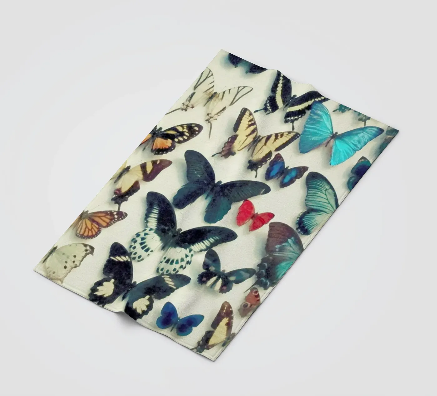 Ali coperta in pile da Cassia Beck Photography