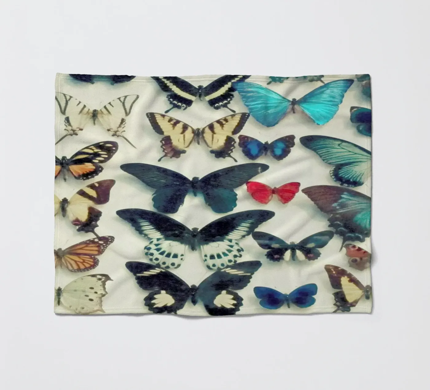 Ali coperta in pile da Cassia Beck Photography