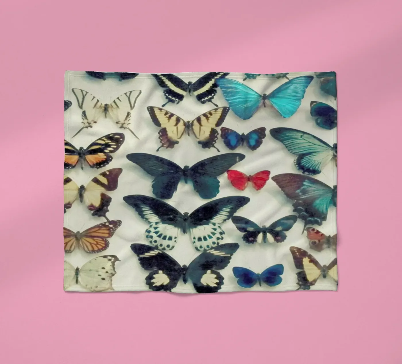 Ali coperta in pile da Cassia Beck Photography