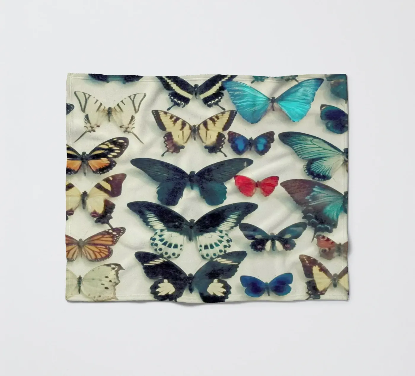 Ali coperta in pile da Cassia Beck Photography