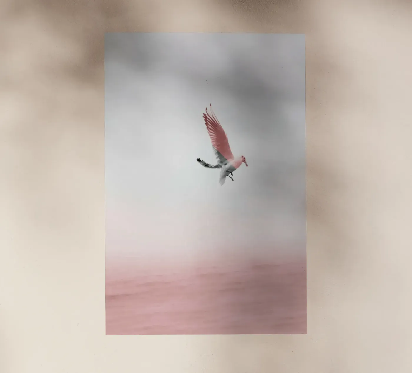 Möve pellicola backlit da Froilein Juno