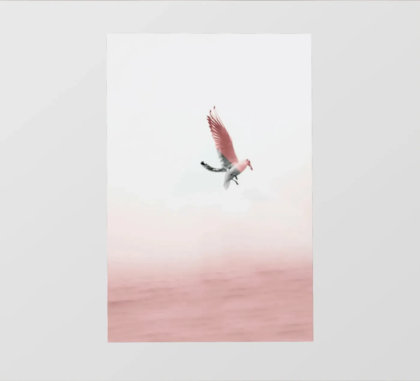 Möve pellicola backlit da Froilein Juno