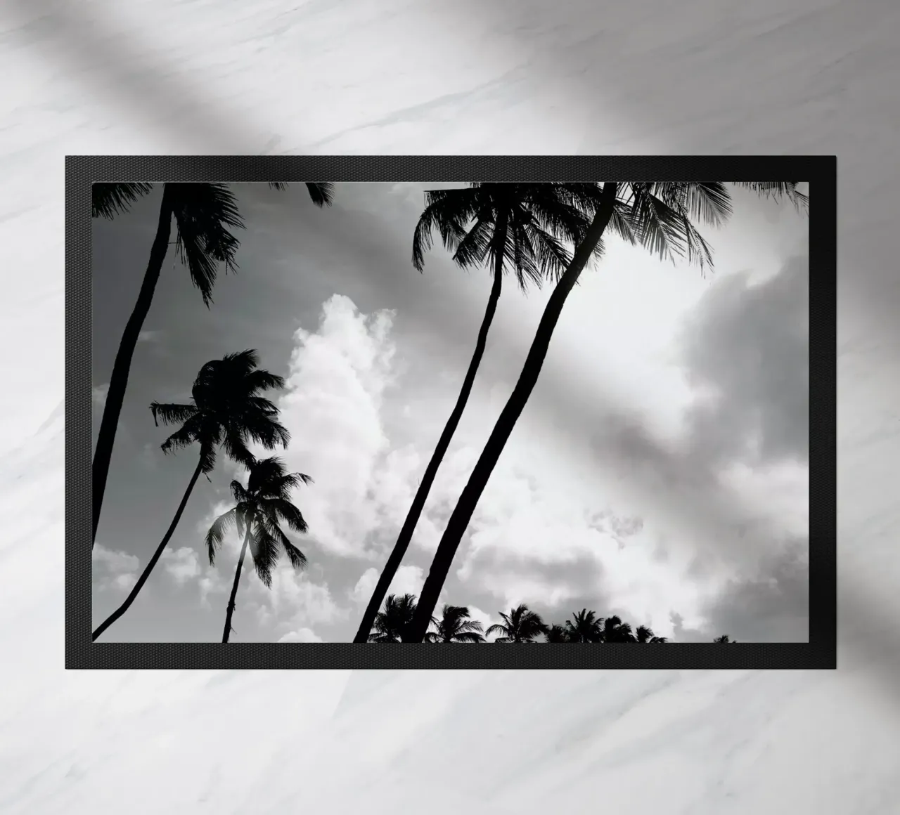 Coco Island 2 zerbino da Shot By Clint