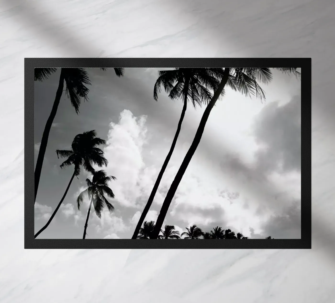 Coco Island 2 zerbino da Shot By Clint
