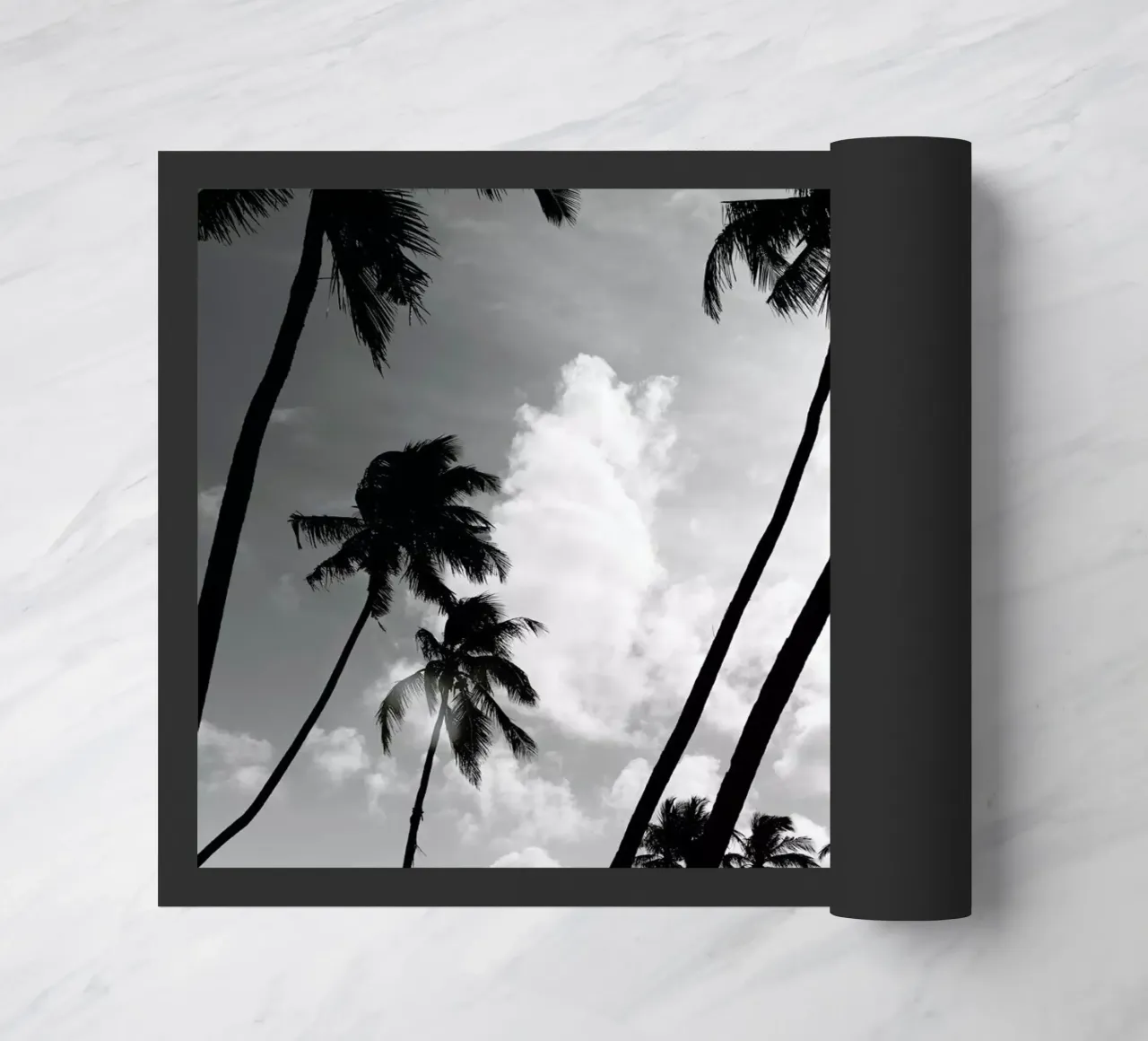 Coco Island 2 zerbino da Shot By Clint