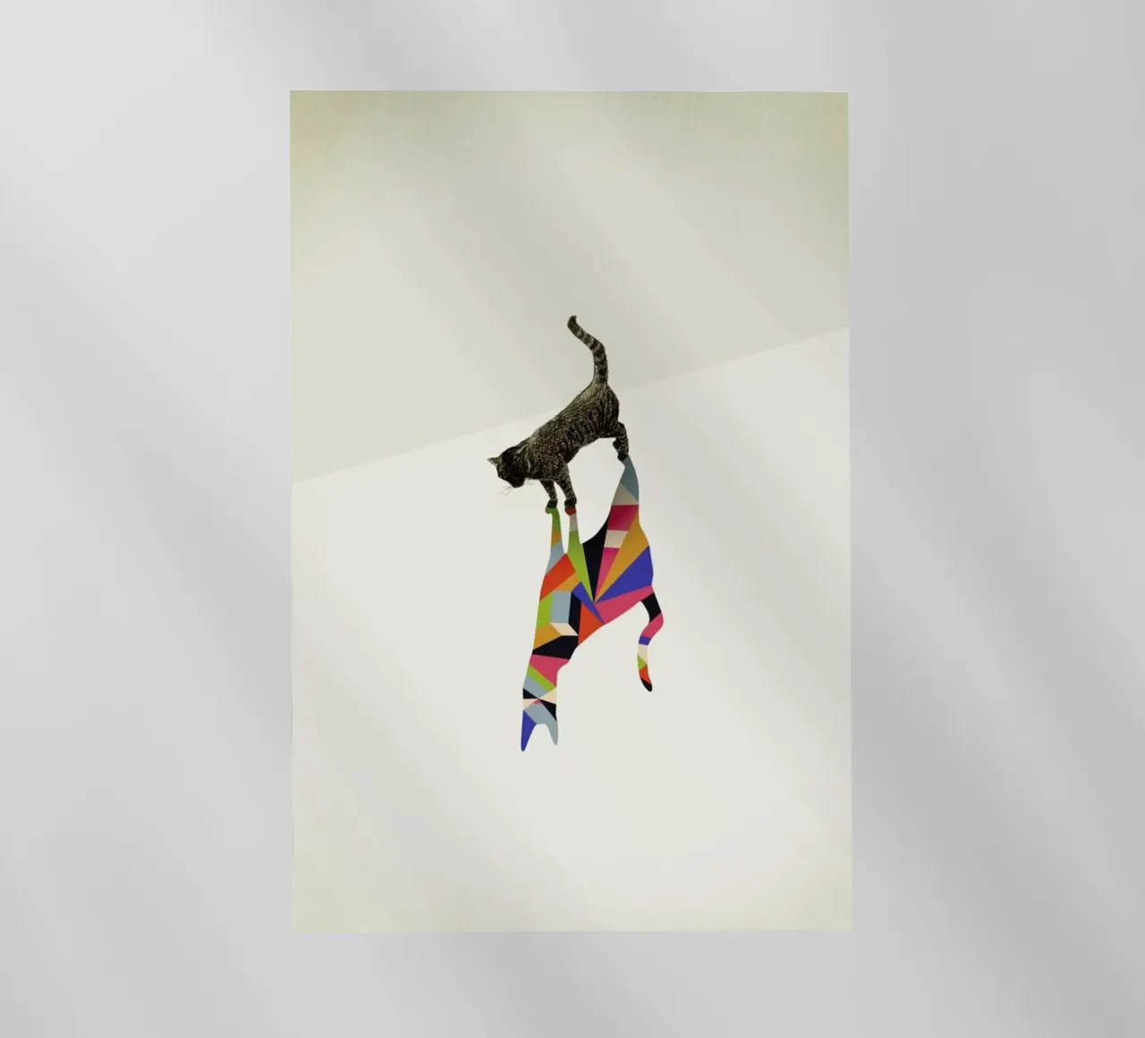 Walking Shadow - Cat pellicola backlit da Jason Ratliff