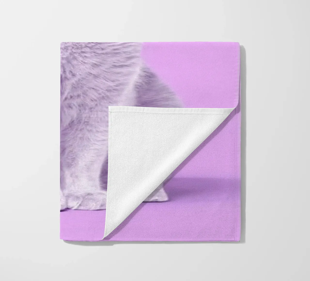 Space Cat telo mare da Paul Fuentes Design