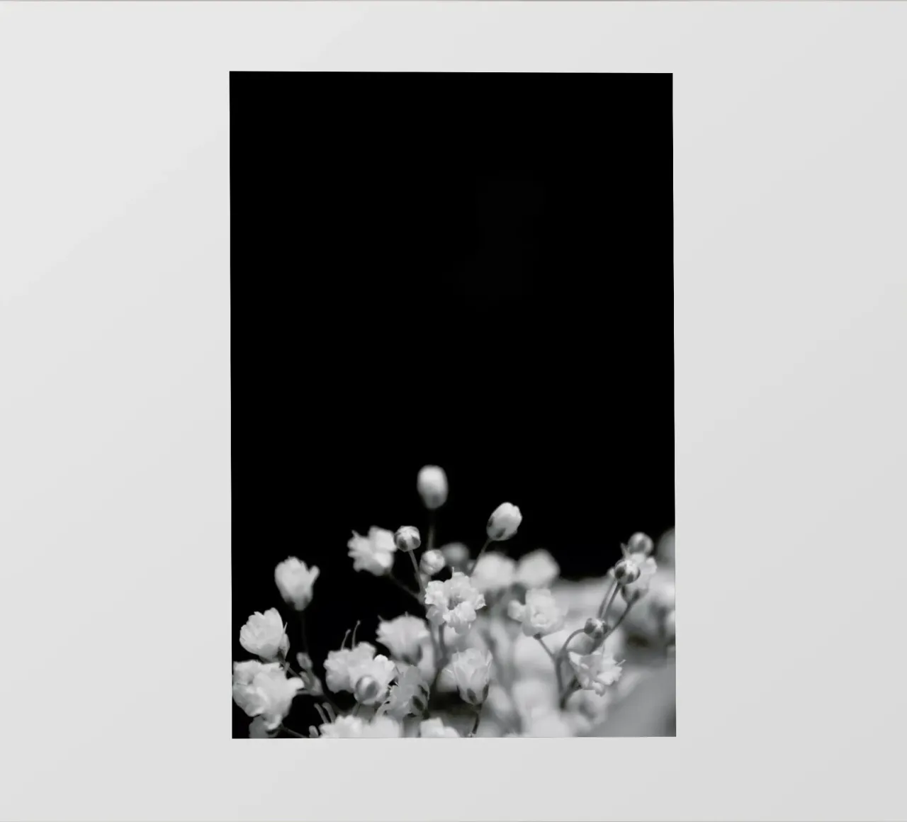 Bloom II telo in pvc da Victoria Frost