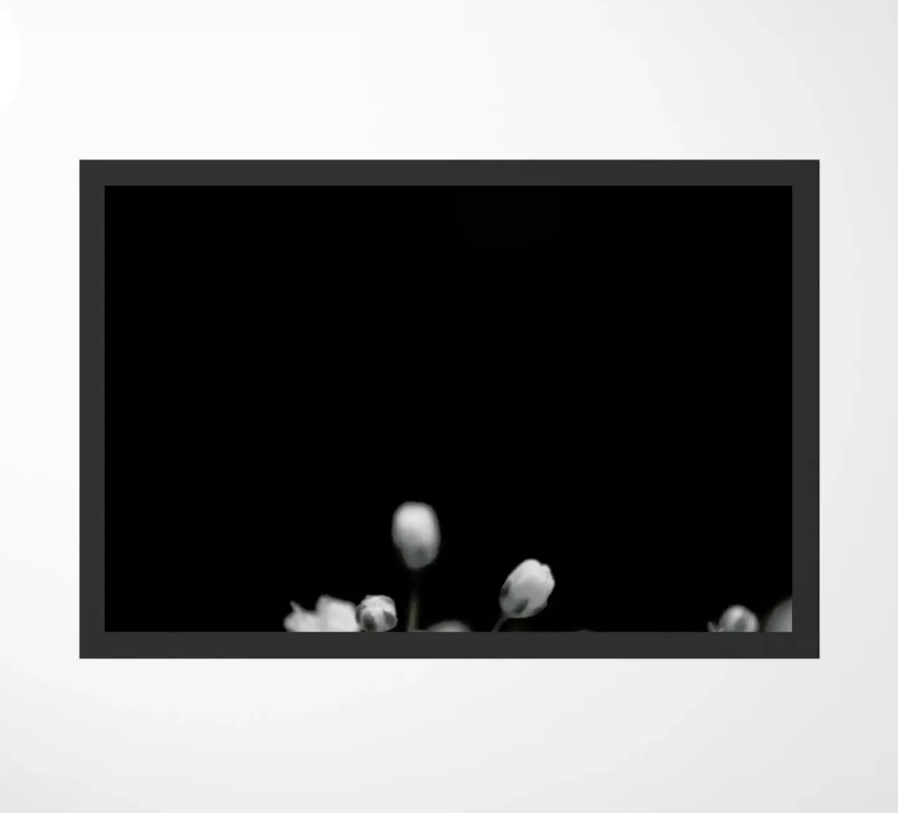 Bloom II zerbino da Victoria Frost