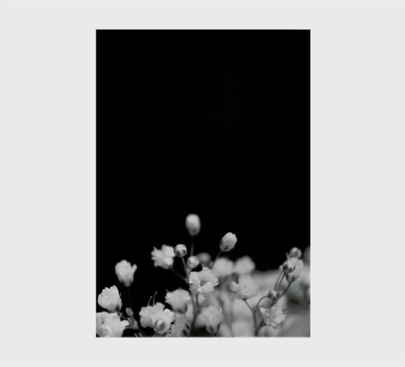 Bloom II notebook by Victoria Frost